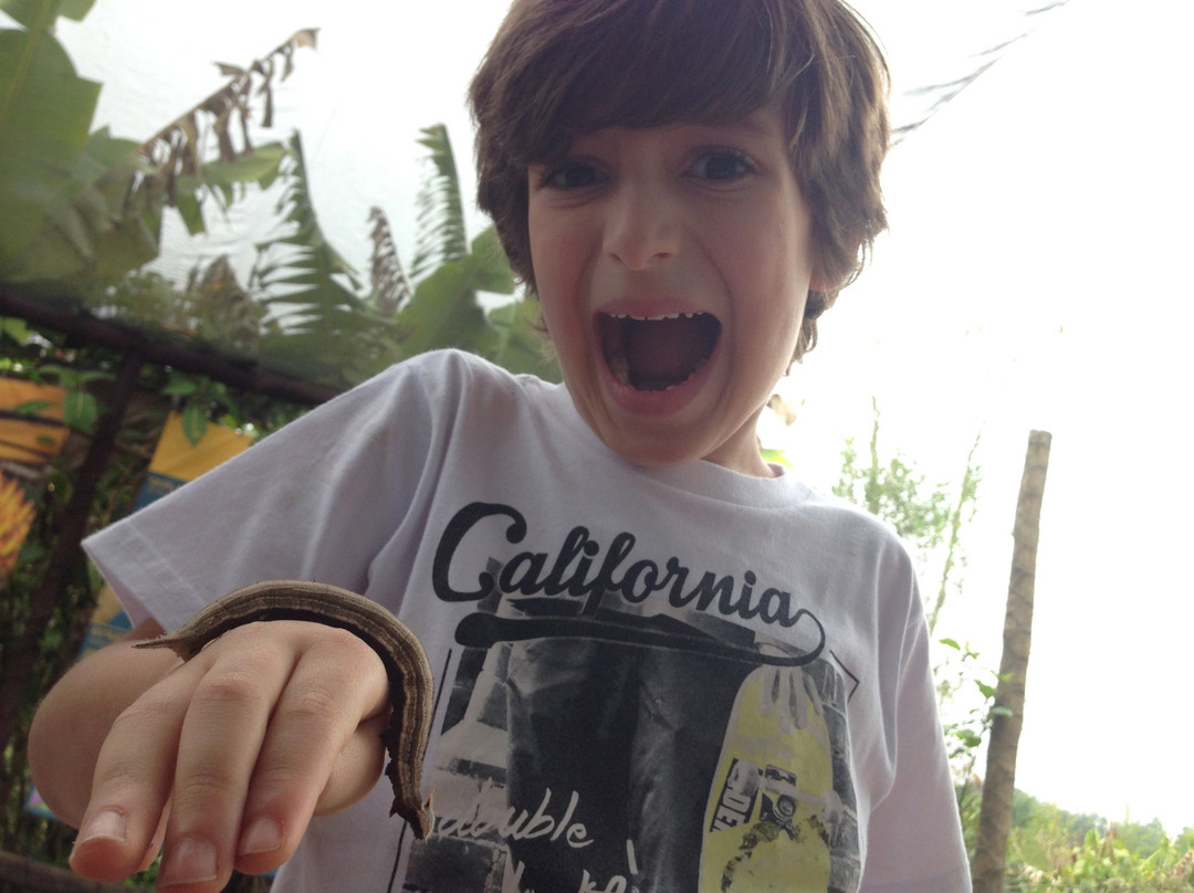 Borboletario de Osasco-Osasco必去景点