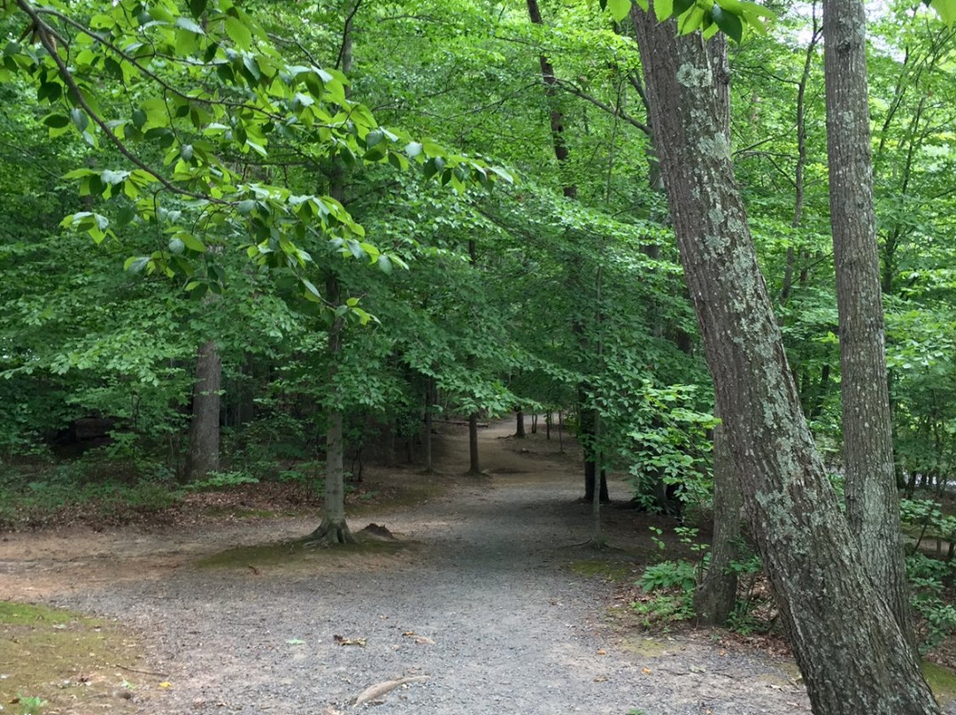 Burke Lake Park景点图片