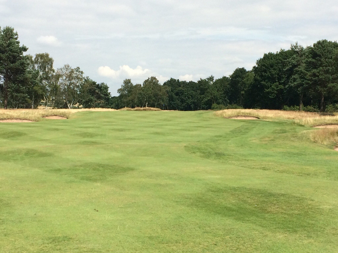 Sherwood Forest Golf Club景点图片
