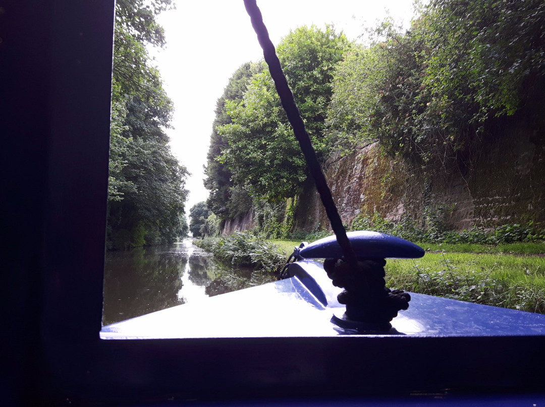 Blue Swan Boat Hire景点图片
