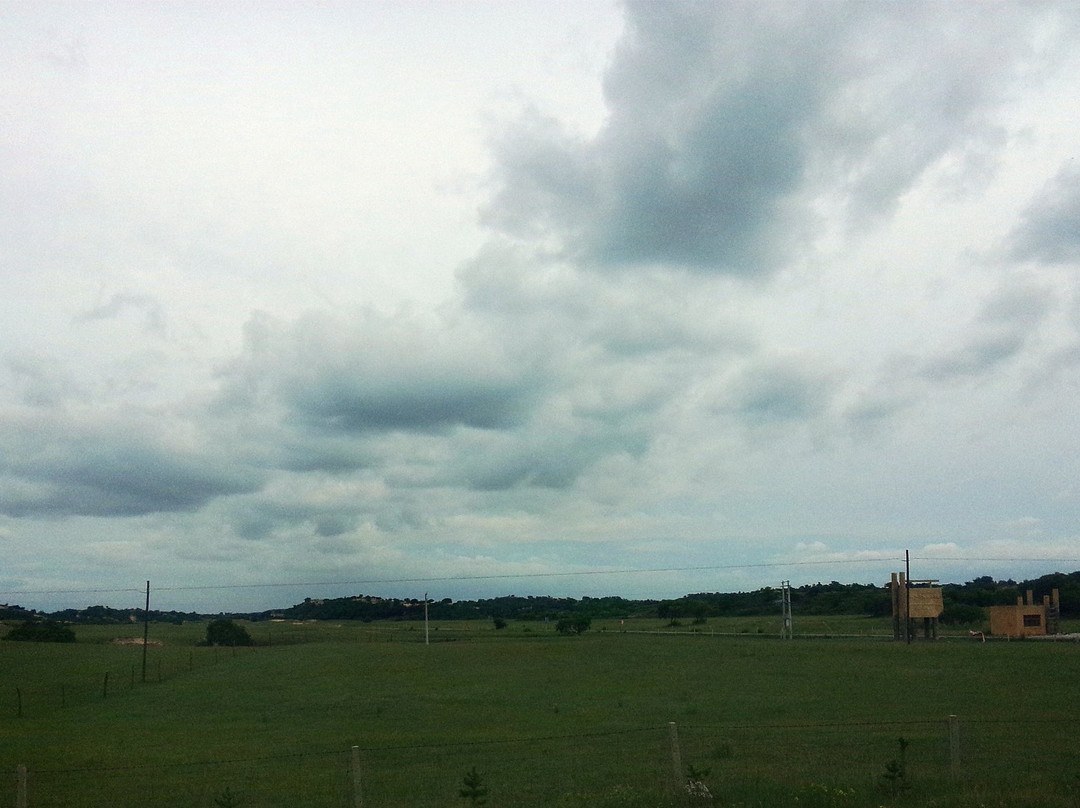贡格尔草原-克什克腾旗必去景点