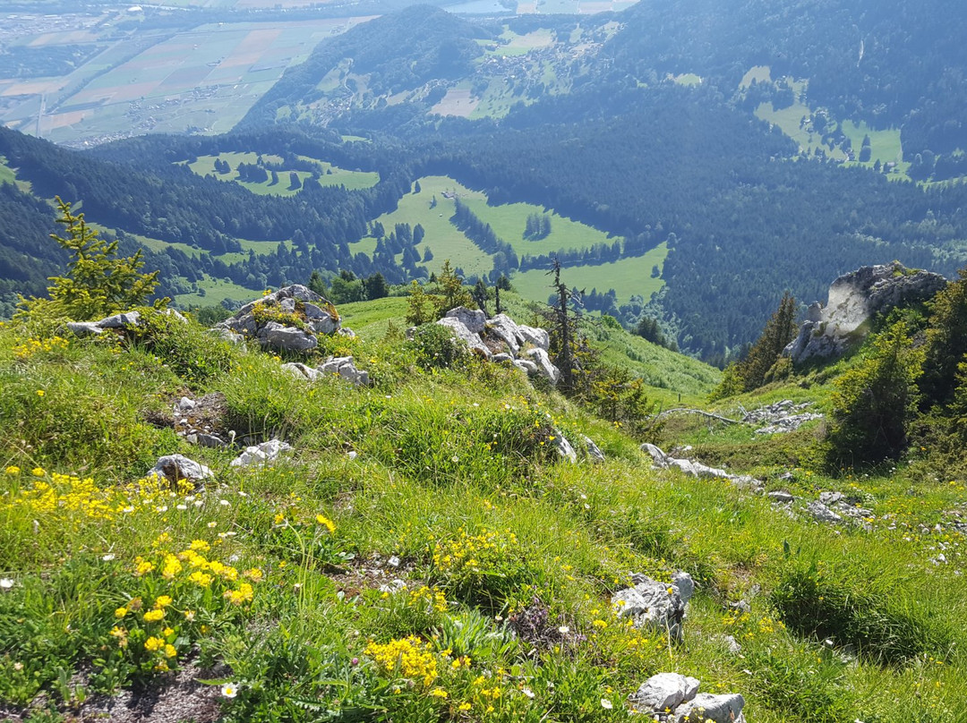 Via Ferrata de la Tour d’Aï-莱森必去景点