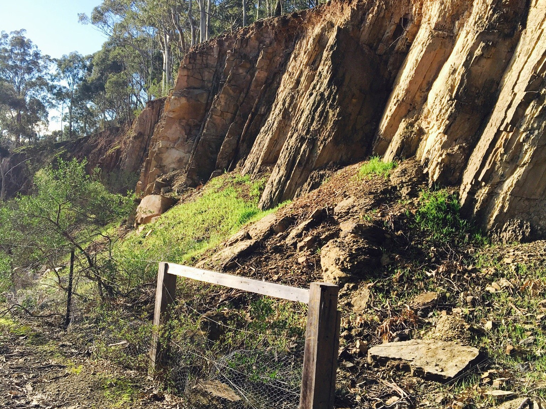 Yellow Gum Recreation Area-Plenty必去景点