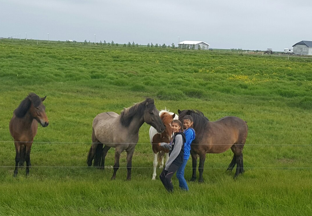 Guesthouse Nordheimar主图