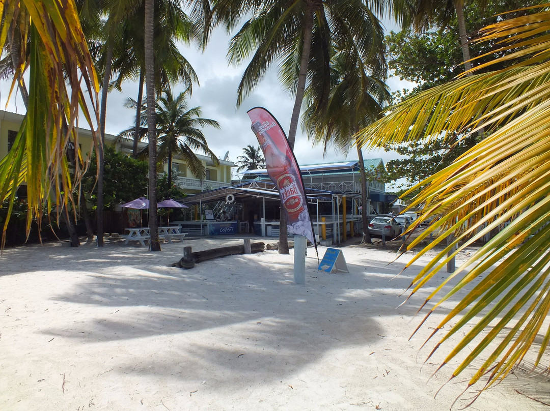 Coast Beach Club-Worthing必去景点