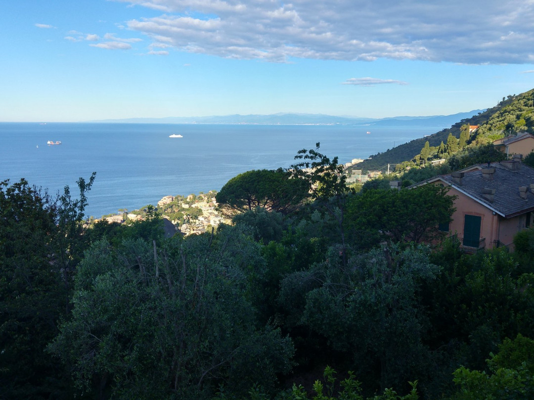 Agriturismo Sant'Ilario主图