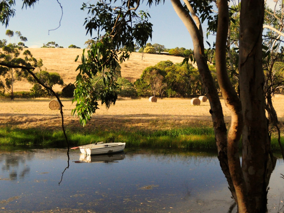 Fleurieu Hills Vineyard景点图片