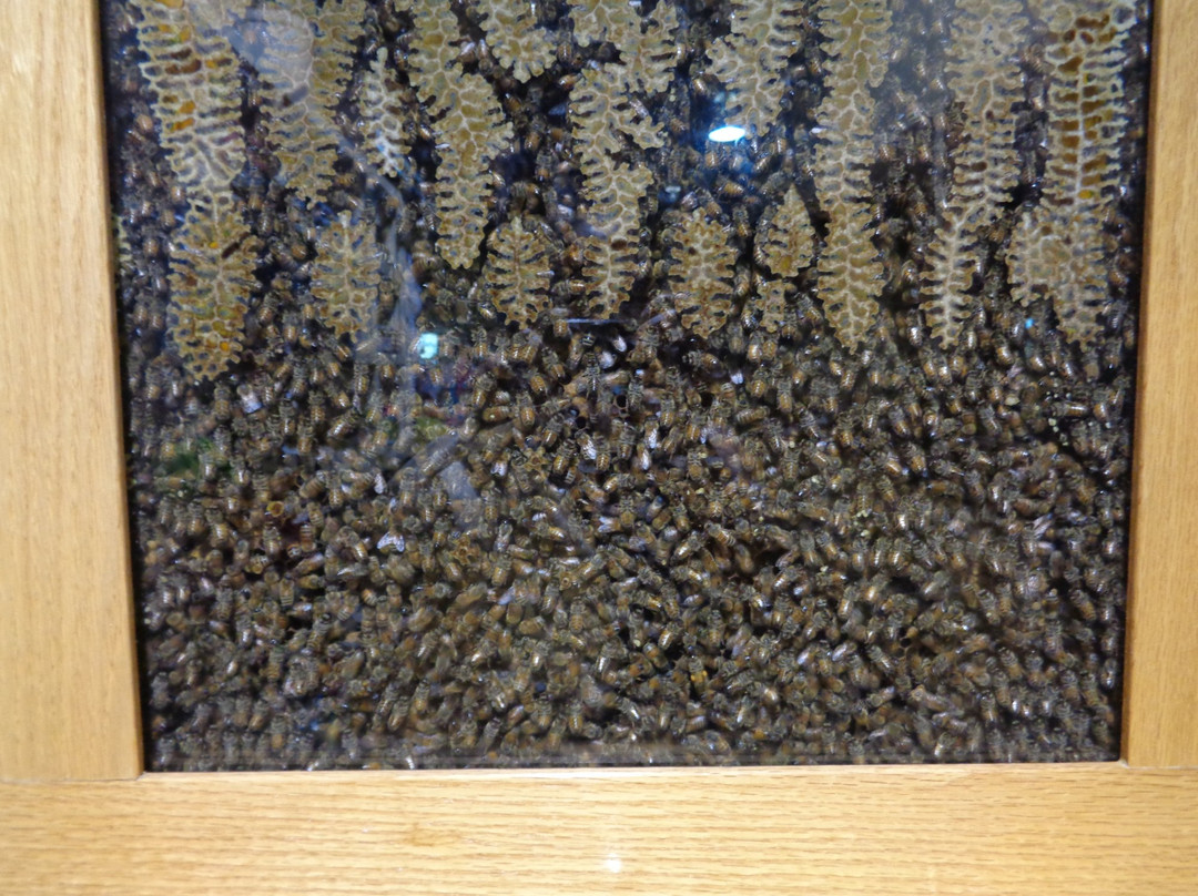 The Market at Rutland Farms-蒂夫顿必去景点