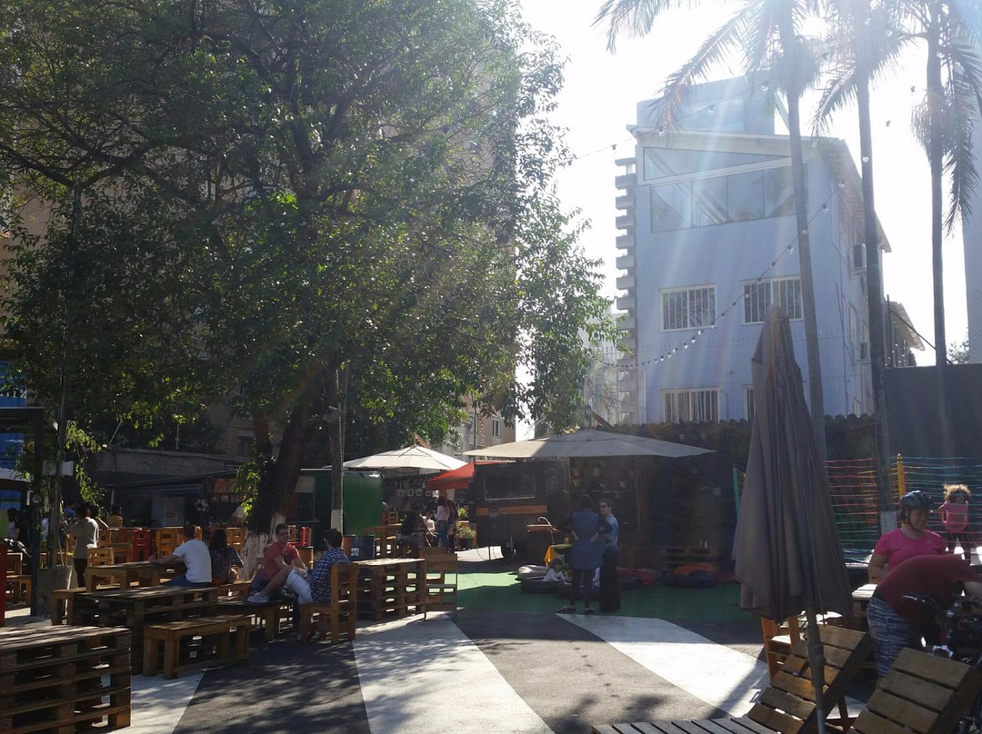 Piknik Faria Lima-圣保罗必去景点