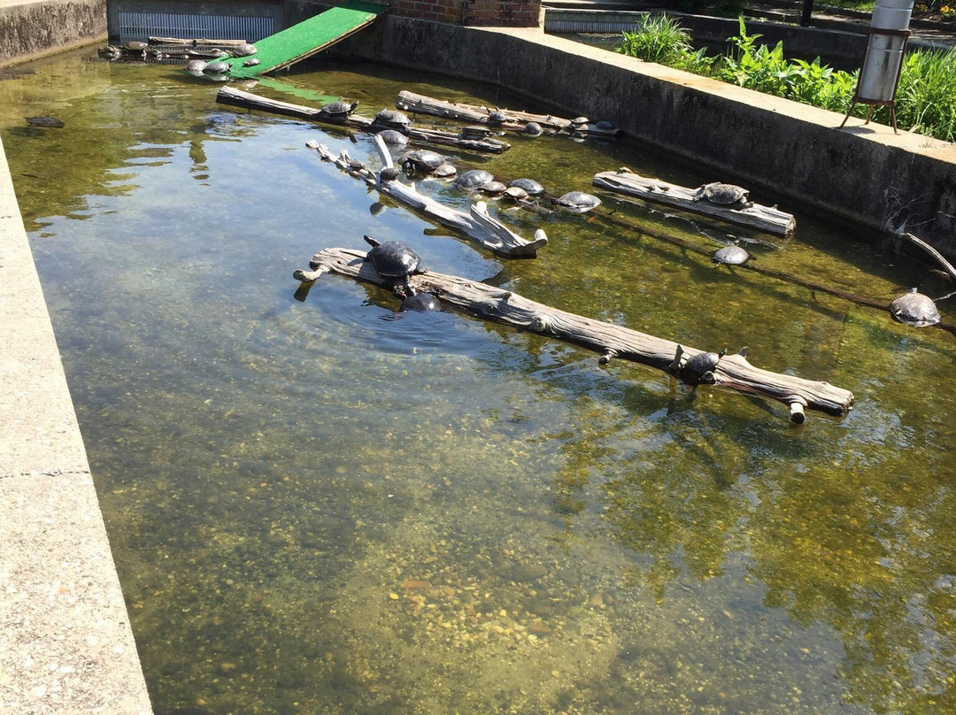 Cold Spring Harbor Fish Hatchery & Aquarium-Cold Spring Harbor必去景点