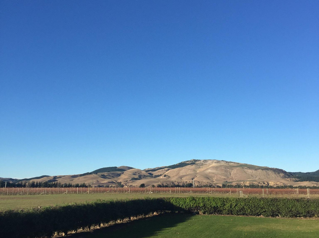 Waipara Private Wine Tour景点图片