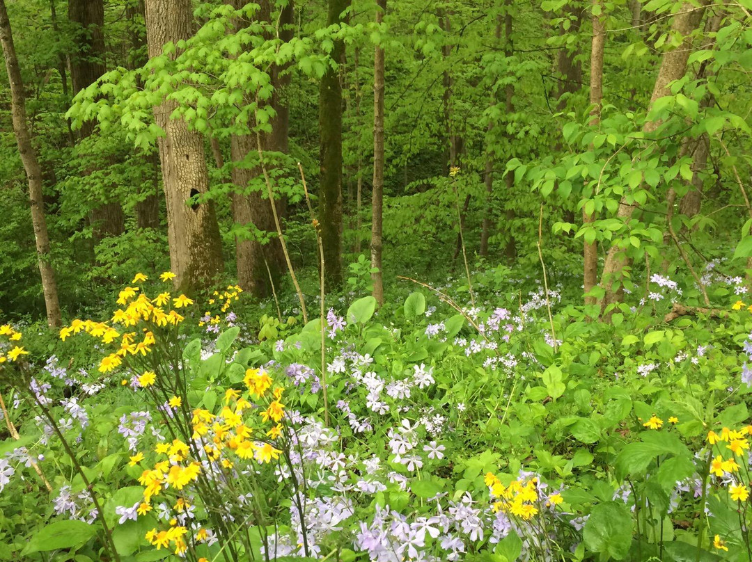 Shenk's Ferry Wildflower preserve-Pequea必去景点