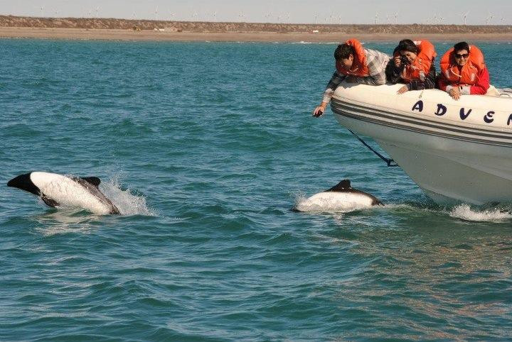 Toninas Adventure-Puerto Rawson必去景点
