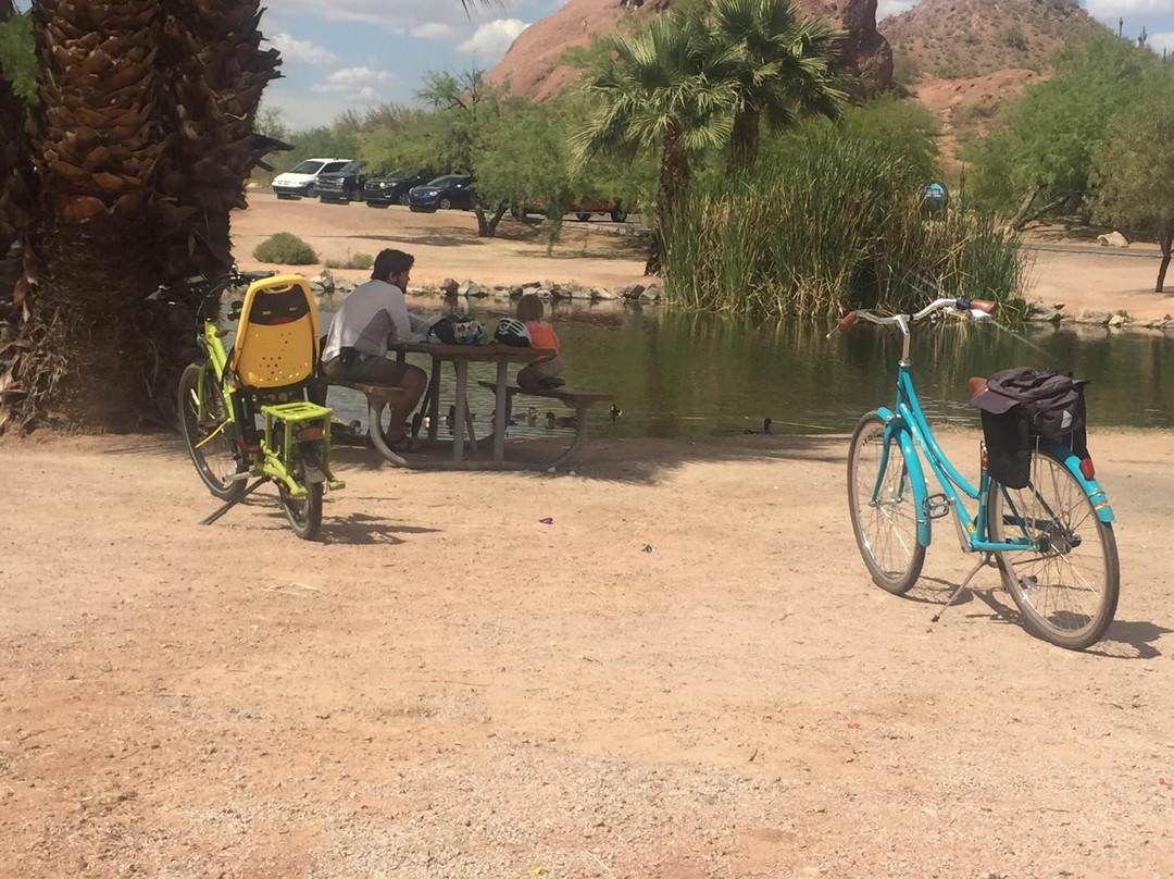 The Bicycle Cellar-坦佩必去景点