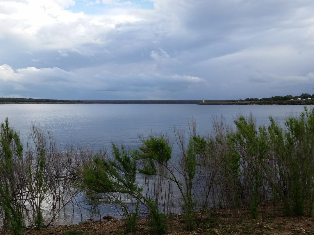 Jim Hogg Park-Georgetown必去景点