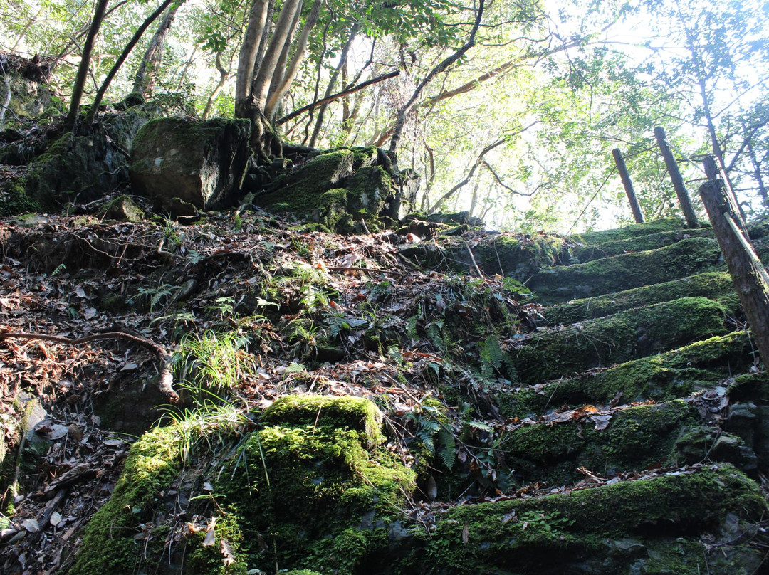 Ryuo Waterfall景点图片
