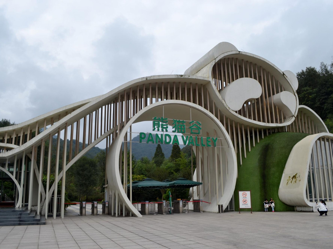 大熊猫谷-都江堰市必去景点