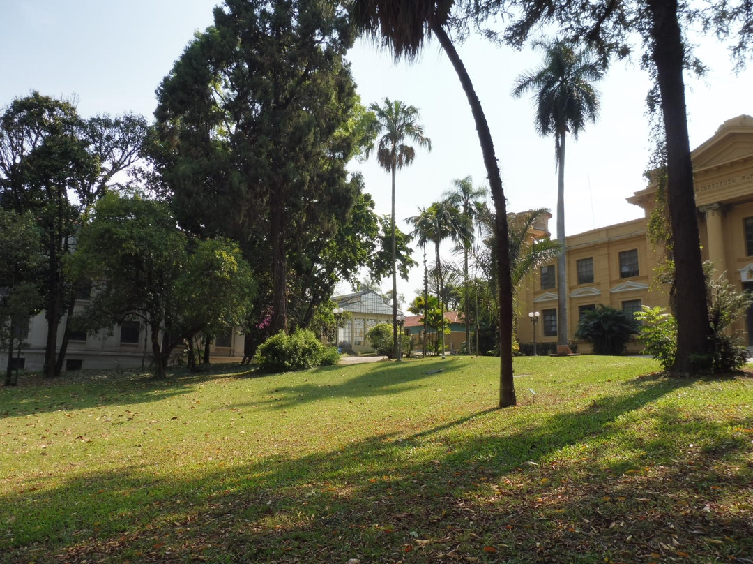 Botanical Garden of the Agronomic Institute-坎皮纳斯必去景点