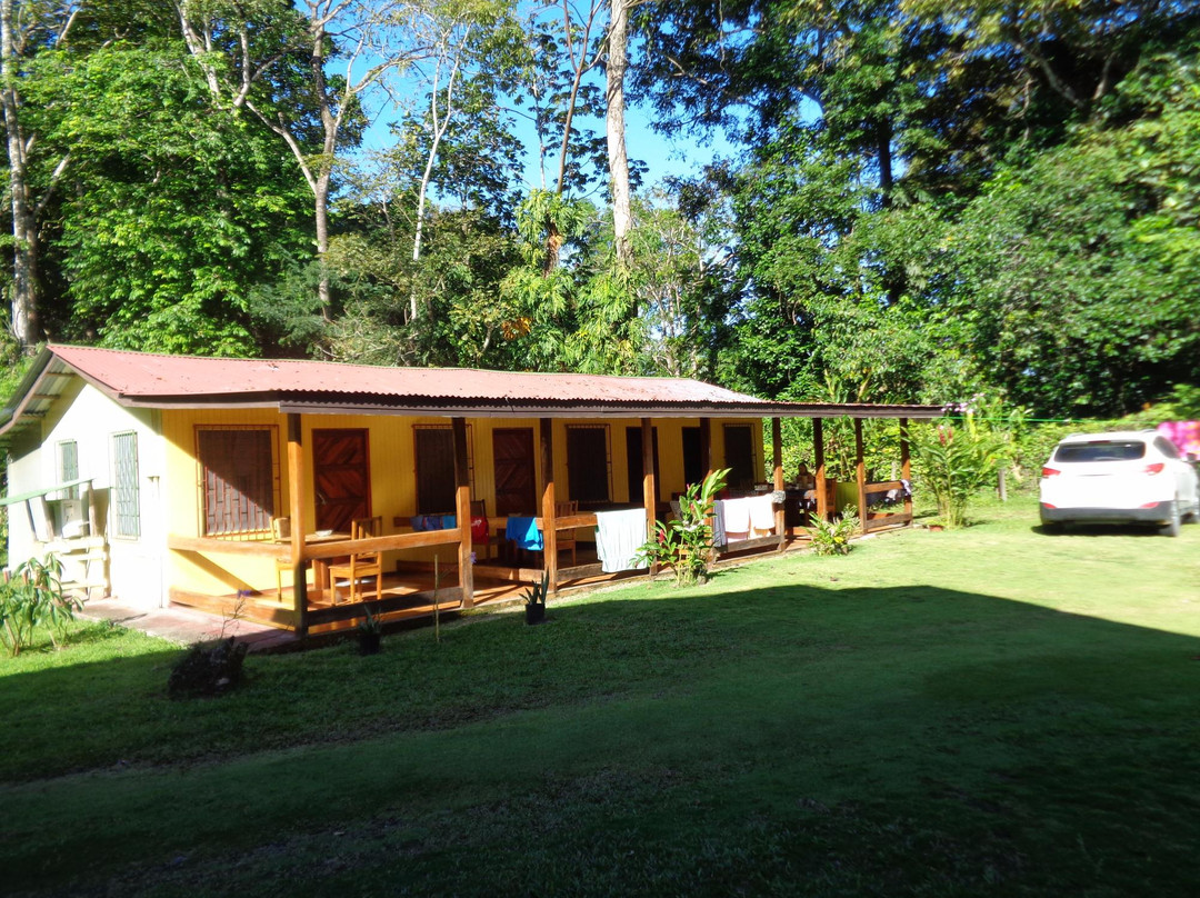 Rio Cocles