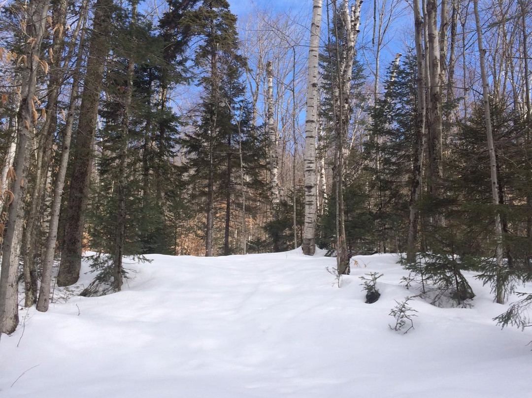 Wild Wings Ski and Yoga-Peru必去景点