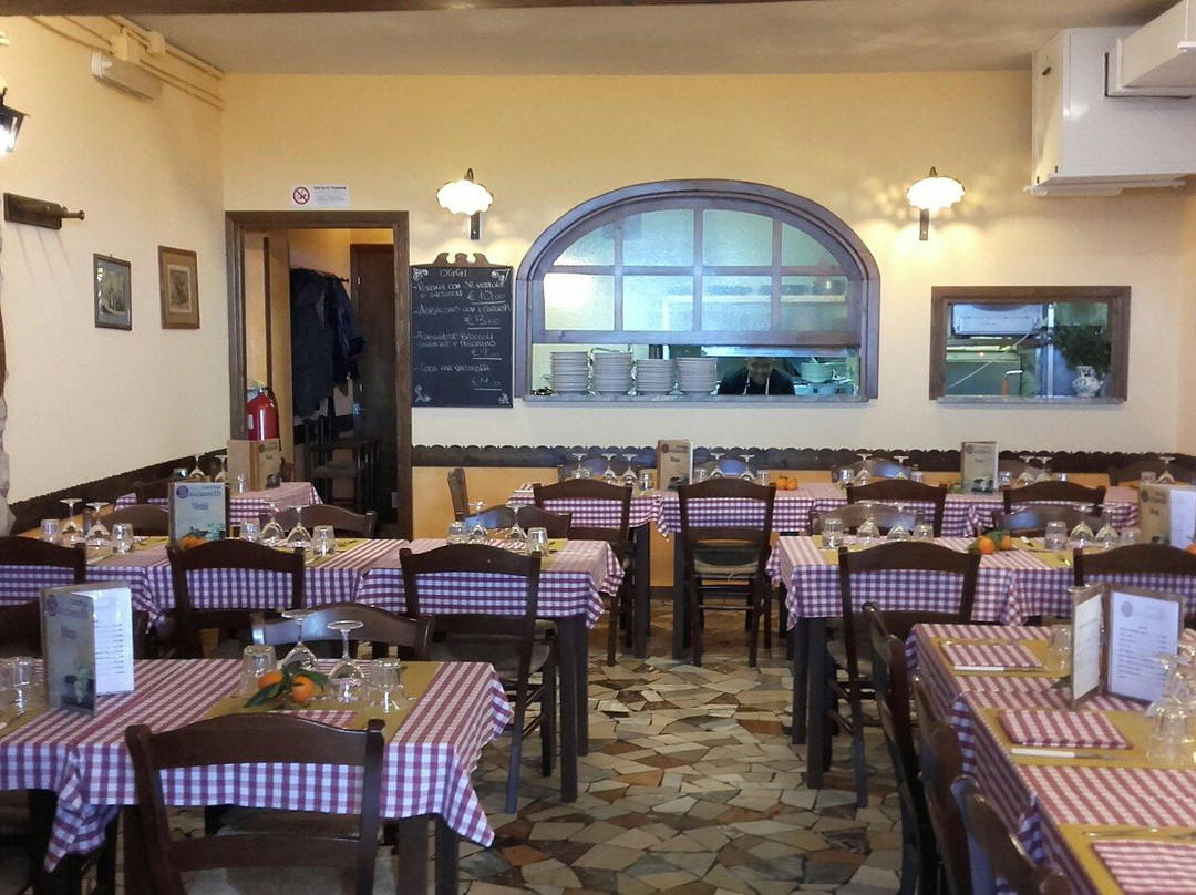 CANTINA BUCCIARELLI