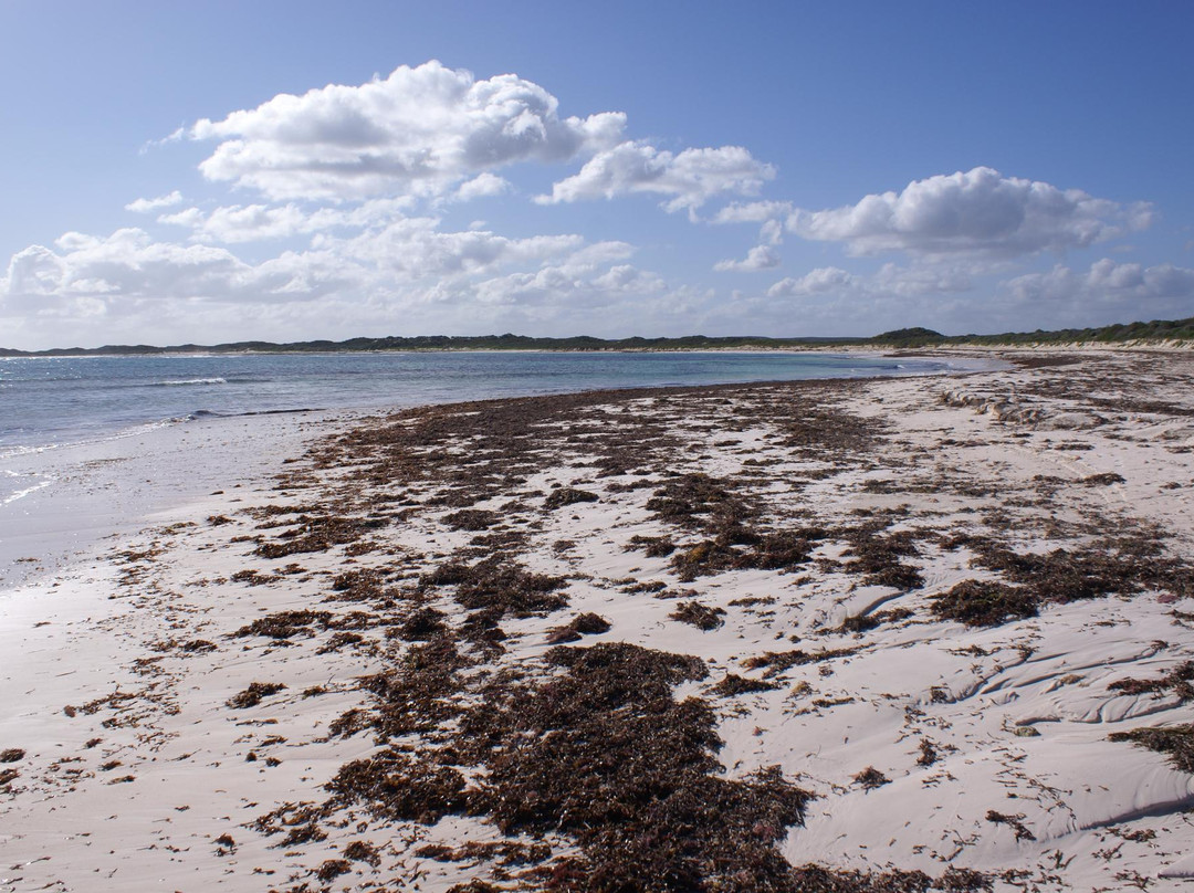 Jurien Bay Marine Park-朱里恩湾必去景点
