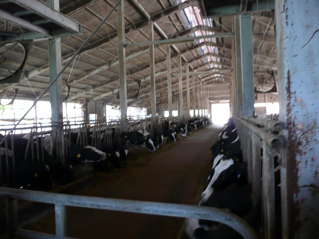 Narita Fureai Ranch-甲贺市必去景点