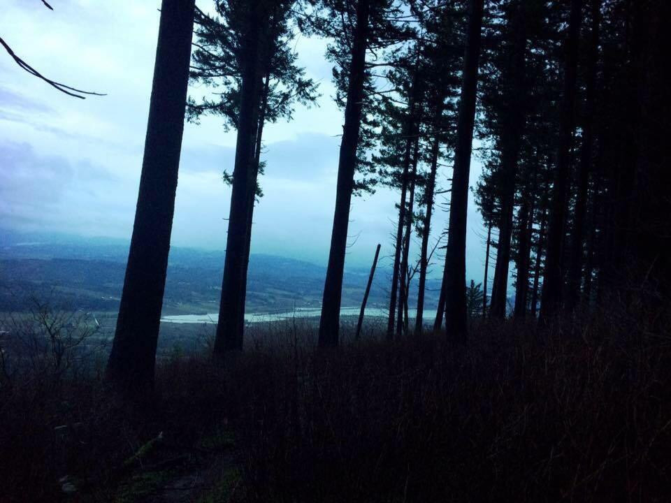 Bald Peak State Park-希尔斯伯勒必去景点