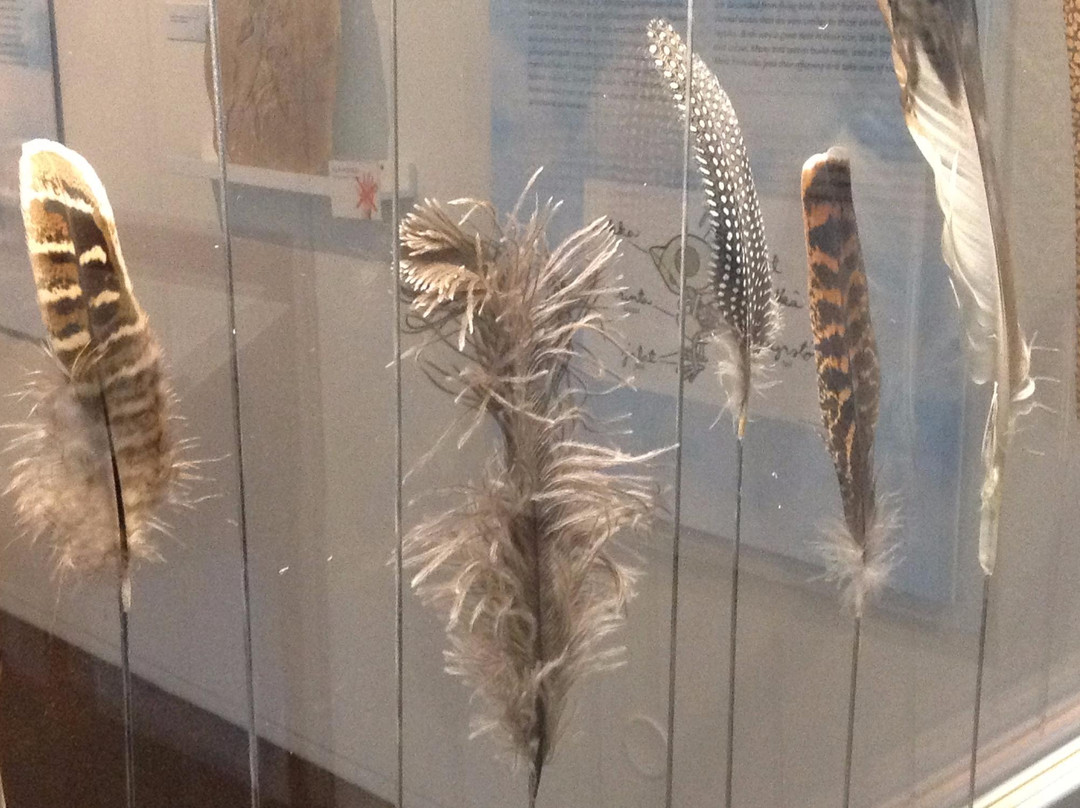 Kuopio Museum-库奥皮奥必去景点