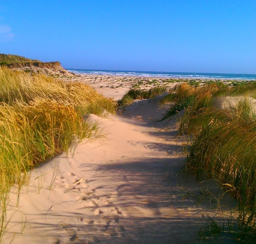 Tower Hill House主图