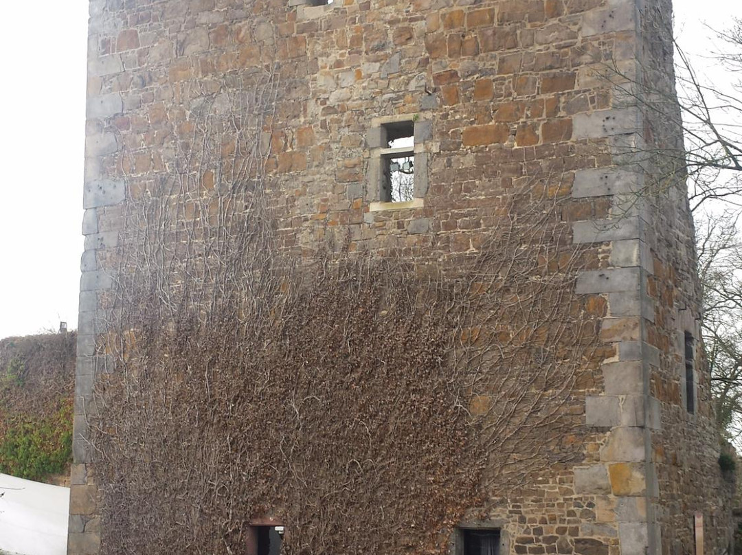 Burg Wilhelmstein景点图片