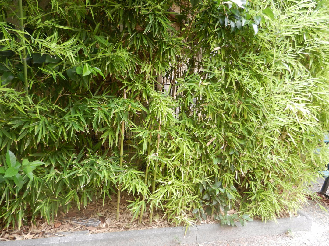 Hôtel de Châteaurenard-普罗旺斯必去景点