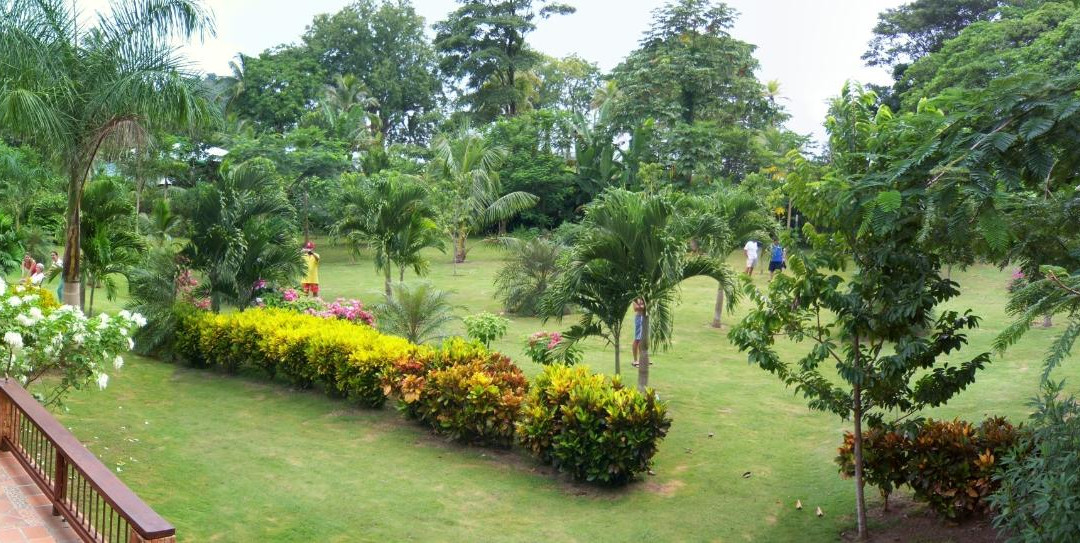 Hotel Las Ceibas主图