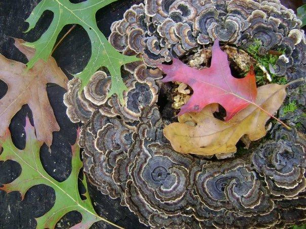 Sundance Gallery Gifts-Blairsville必去景点