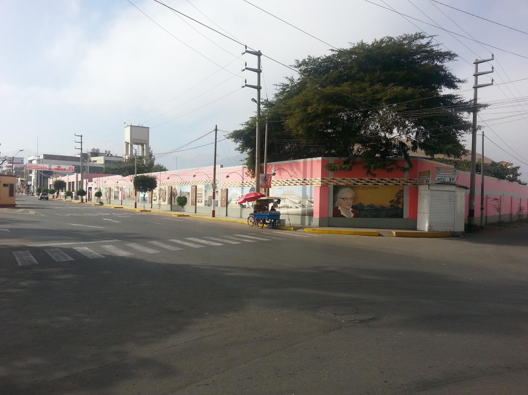 Mural of Maria Reiche-纳斯卡必去景点
