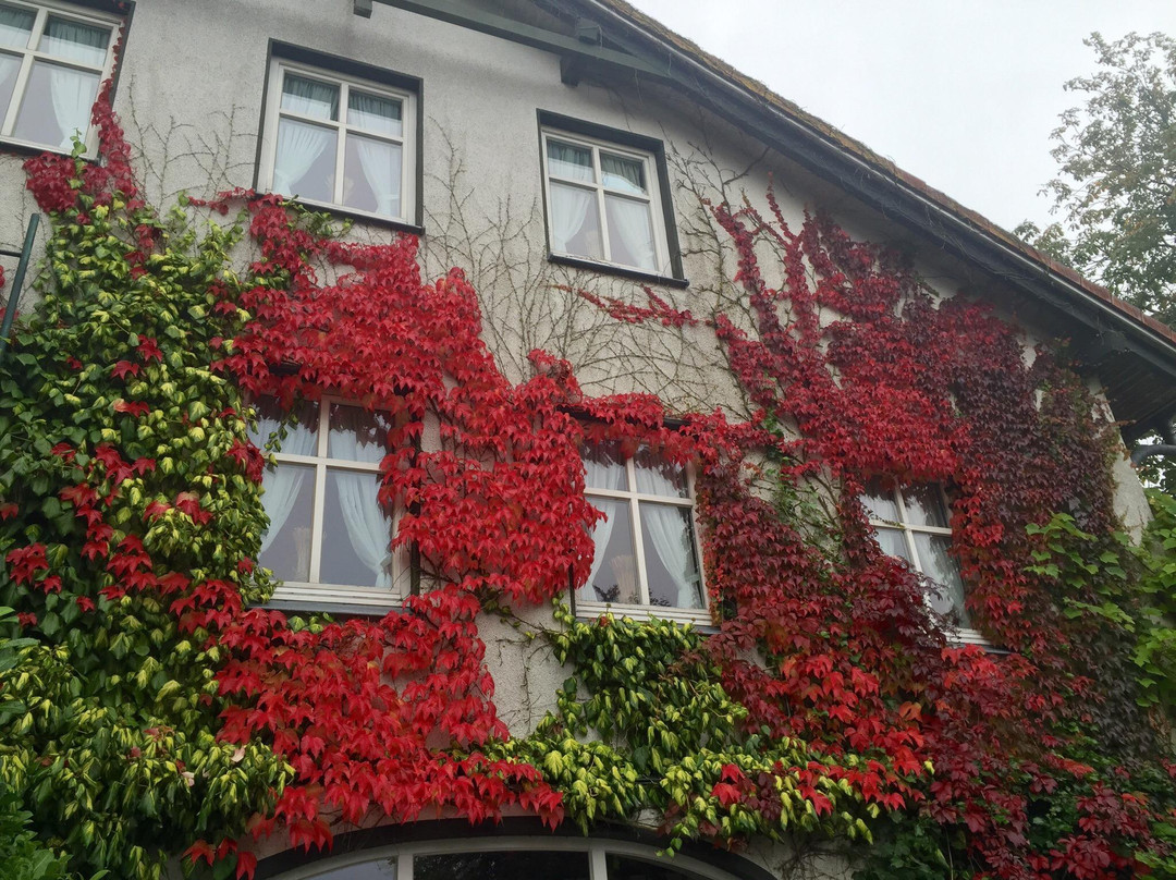 Datgen酒店住宿-Baerenkrug Hotel