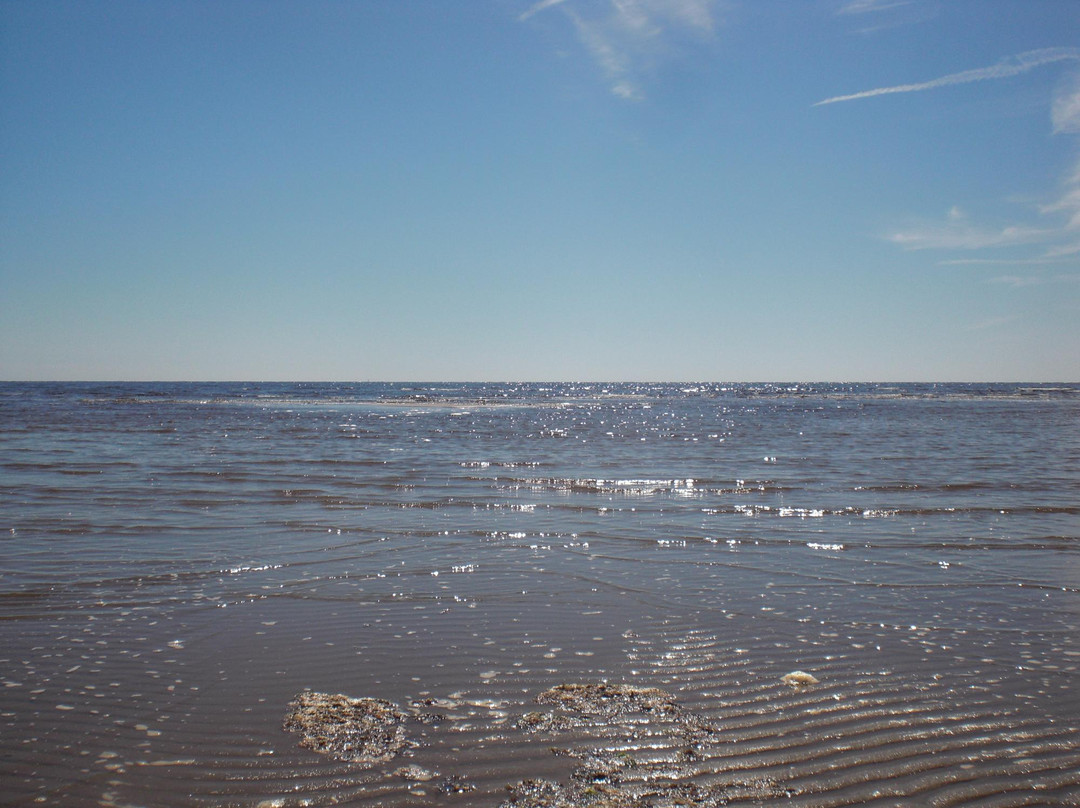 Grimsholmen Nature Reserve-Falkenberg必去景点