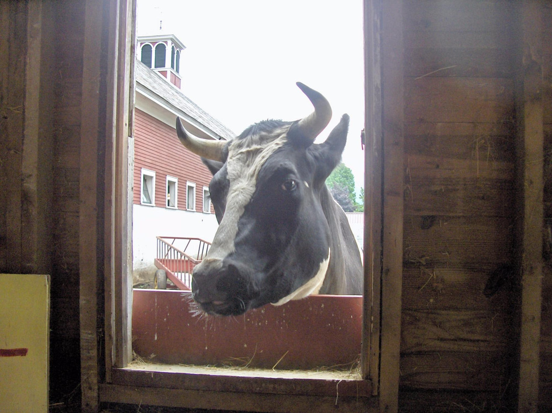 Retreat Farm-布拉特尔伯勒必去景点
