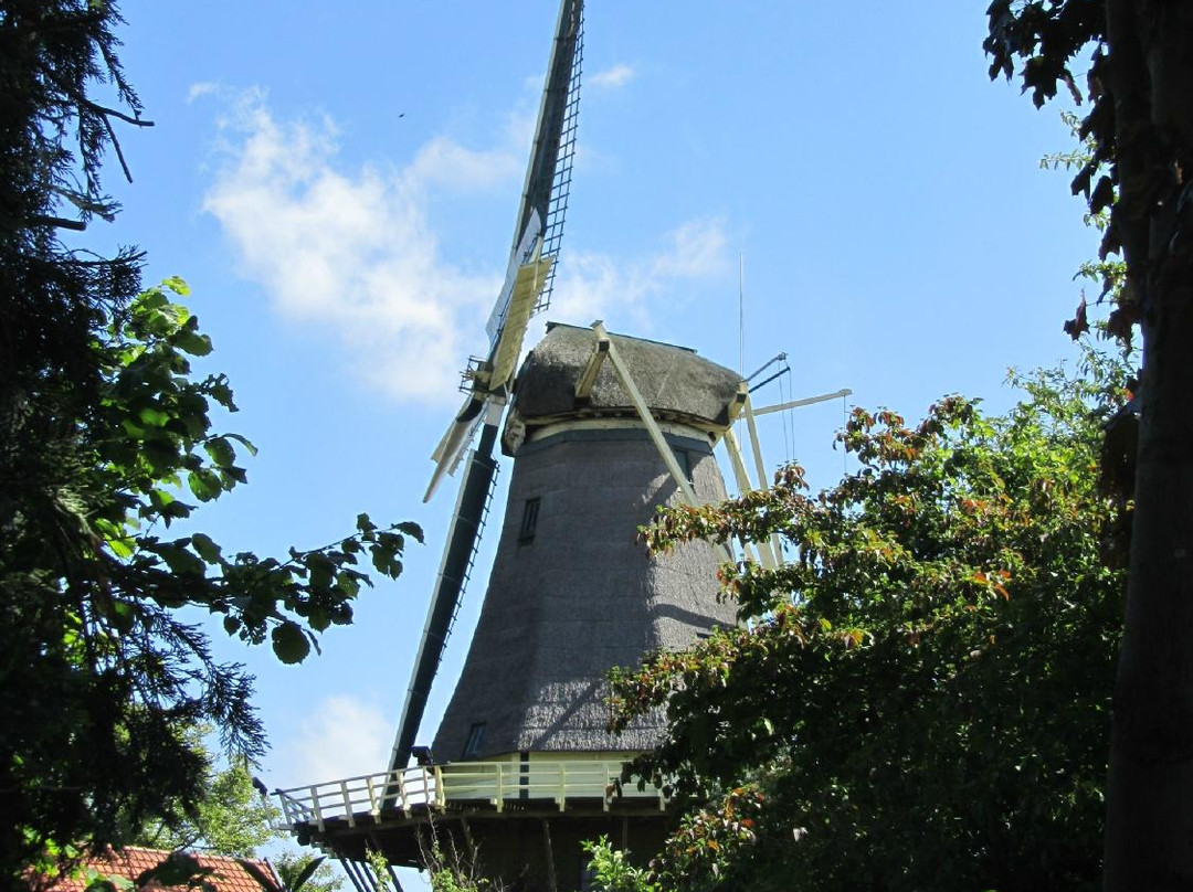 B&B Molenzicht主图