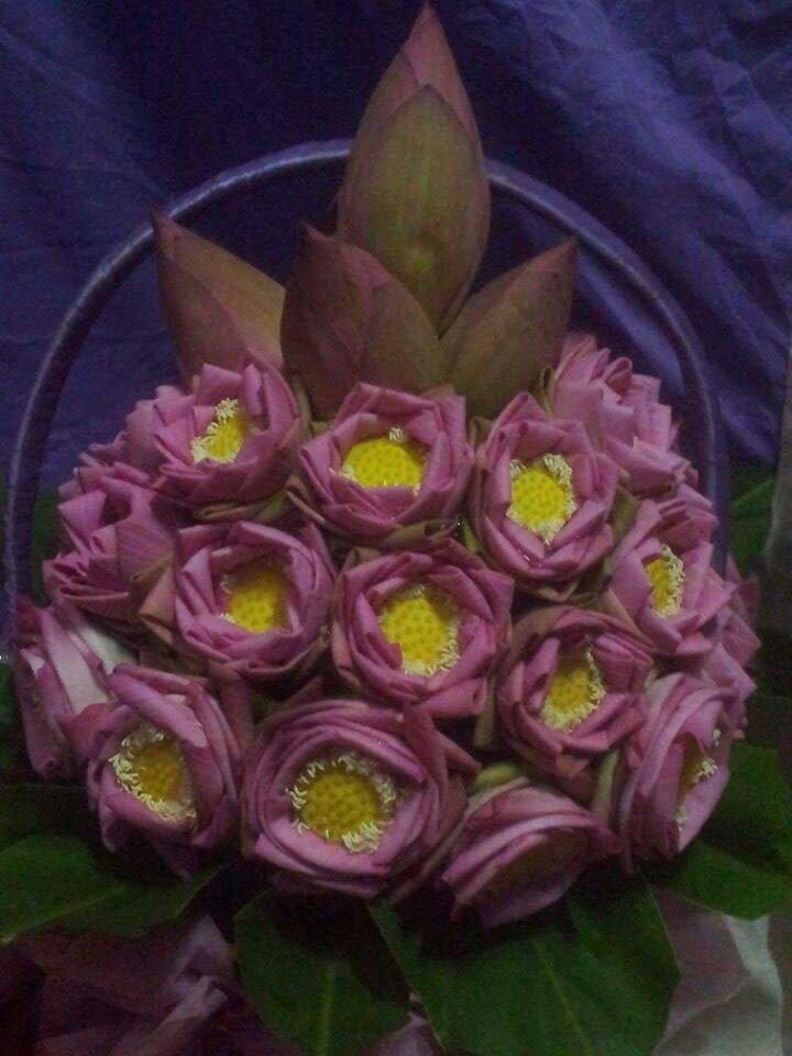 Morhaleap Guesthouse-客卧