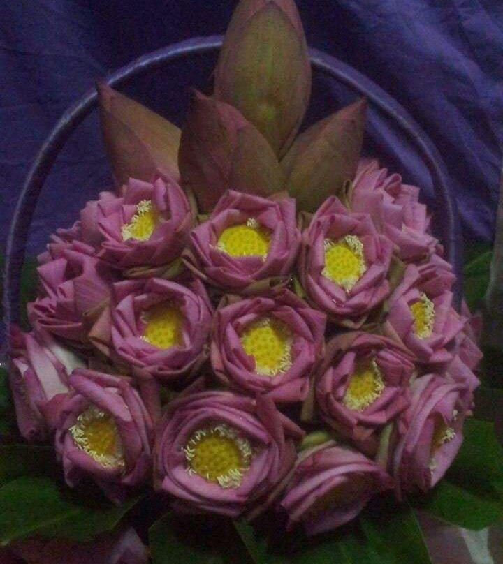 Ta Khmau酒店住宿-Morhaleap Guesthouse