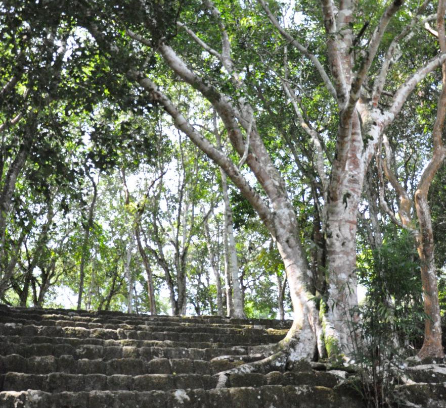 Centro Ceremonial Kohunlich-坎昆必去景点