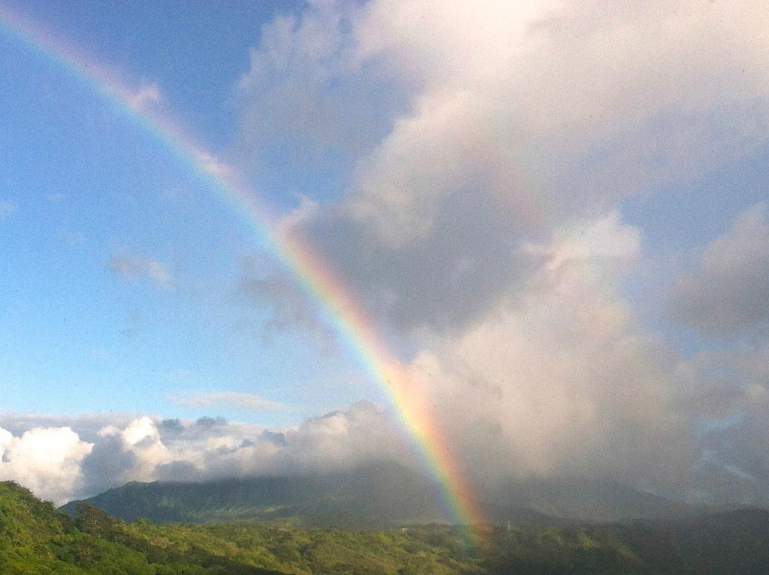 CG Bush Tennis-普林斯维尔必去景点