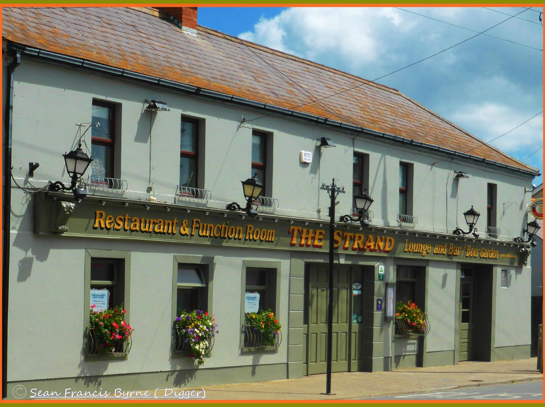 Raheny旅游景点-The Strand