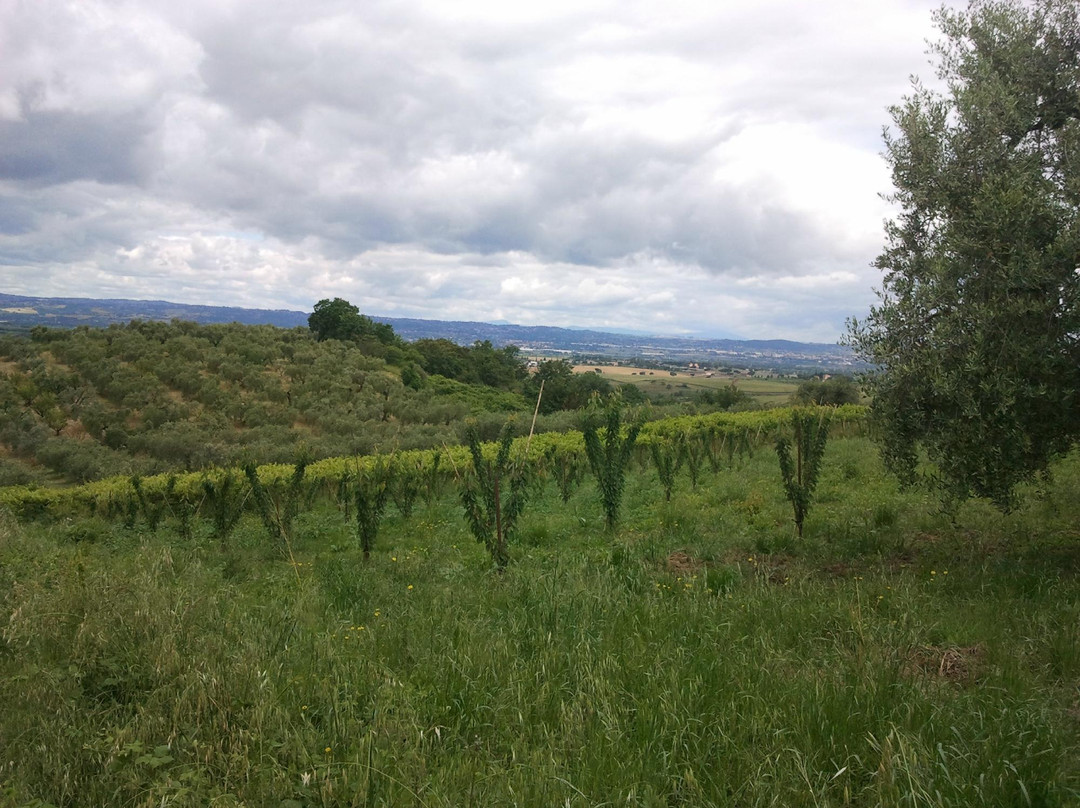 Riserva Naturale Macchia景点图片