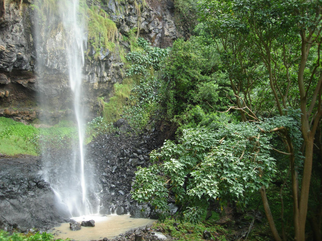 Heart Shaped Waterfall-St Helena Island必去景点