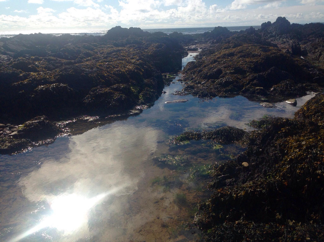 Freshwater West-Angle必去景点