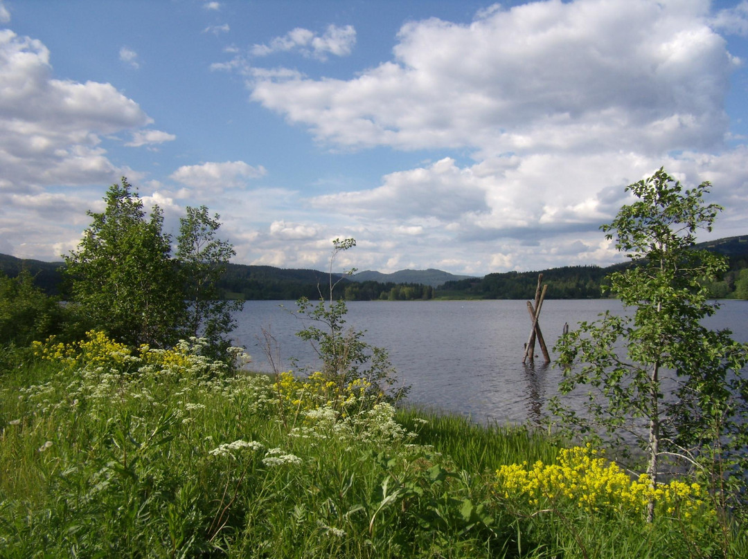 Bogstadvannet Lake-奥斯陆必去景点