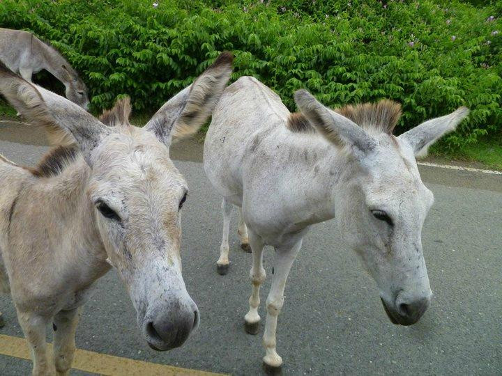Antilles EcoQuest-Havensight必去景点