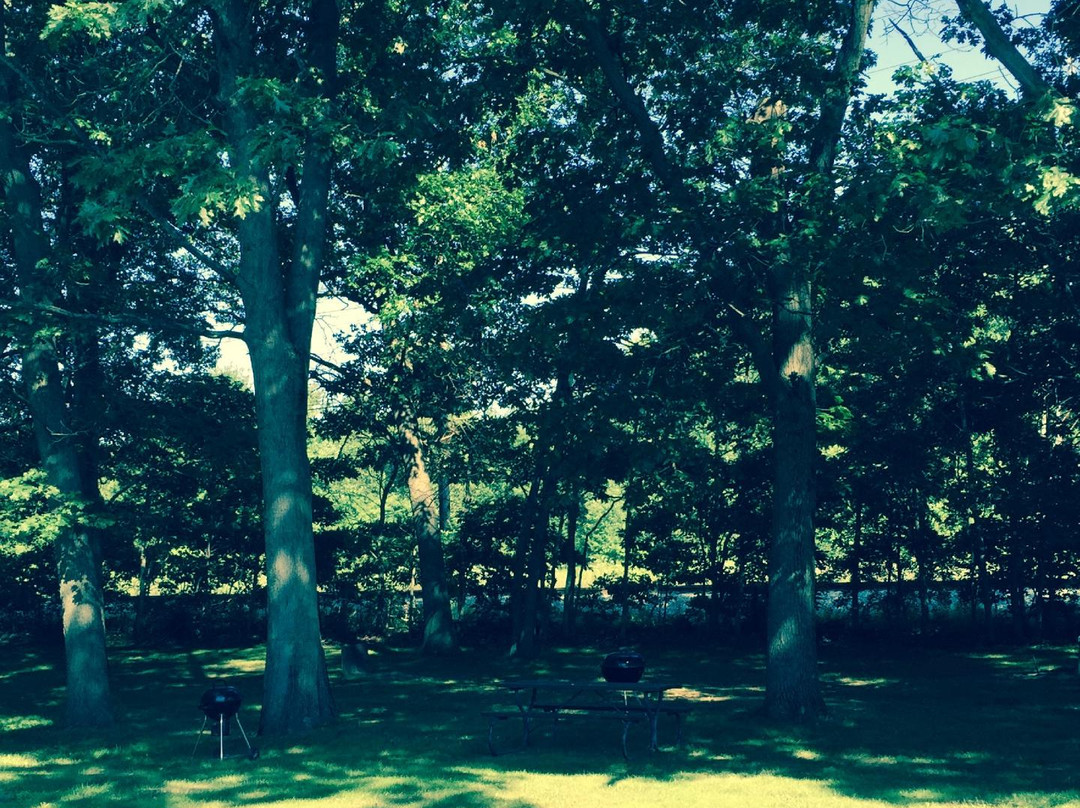 Al & Sally's Motel主图